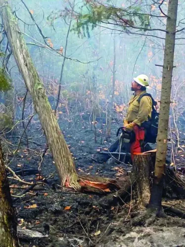 'Ready' status lifted in fire area